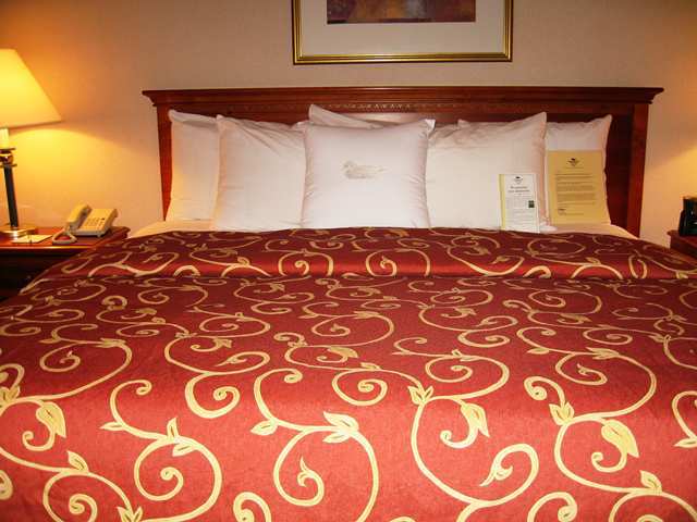 Homewood Suites By Hilton Falls Church Меррифилд Номер фото